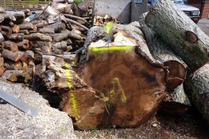 sustainable timber sourcing, bespoke designed furniture, Somerest, Dorset, South West England, bespoke carpenter