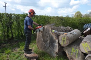 sustainable timber sourcing, bespoke designed furniture, Somerest, Dorset, South West England, bespoke carpenter