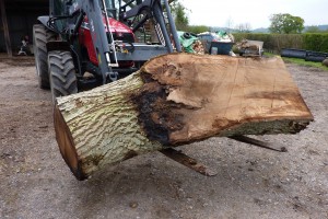 sustainable timber sourcing, bespoke designed furniture, Somerest, Dorset, South West England, bespoke carpenter