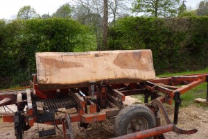 sustainable timber sourcing, bespoke designed furniture, Somerest, Dorset, South West England, bespoke carpenter