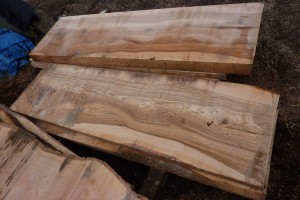 sustainable timber sourcing, bespoke designed furniture, Somerest, Dorset, South West England, bespoke carpenter